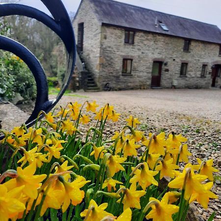 Troedyrhiw Holiday Cottages Cardigan Kültér fotó