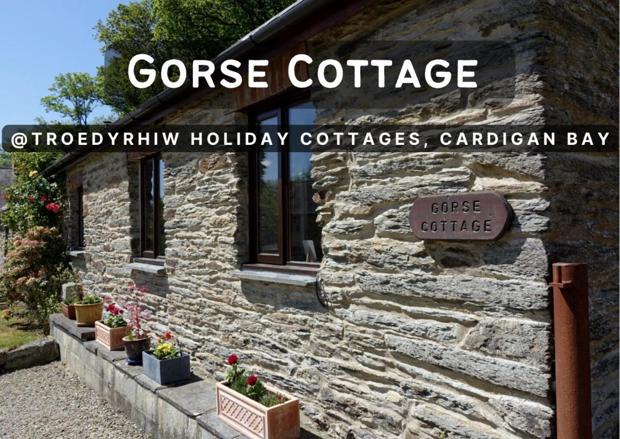 Troedyrhiw Holiday Cottages Cardigan Kültér fotó