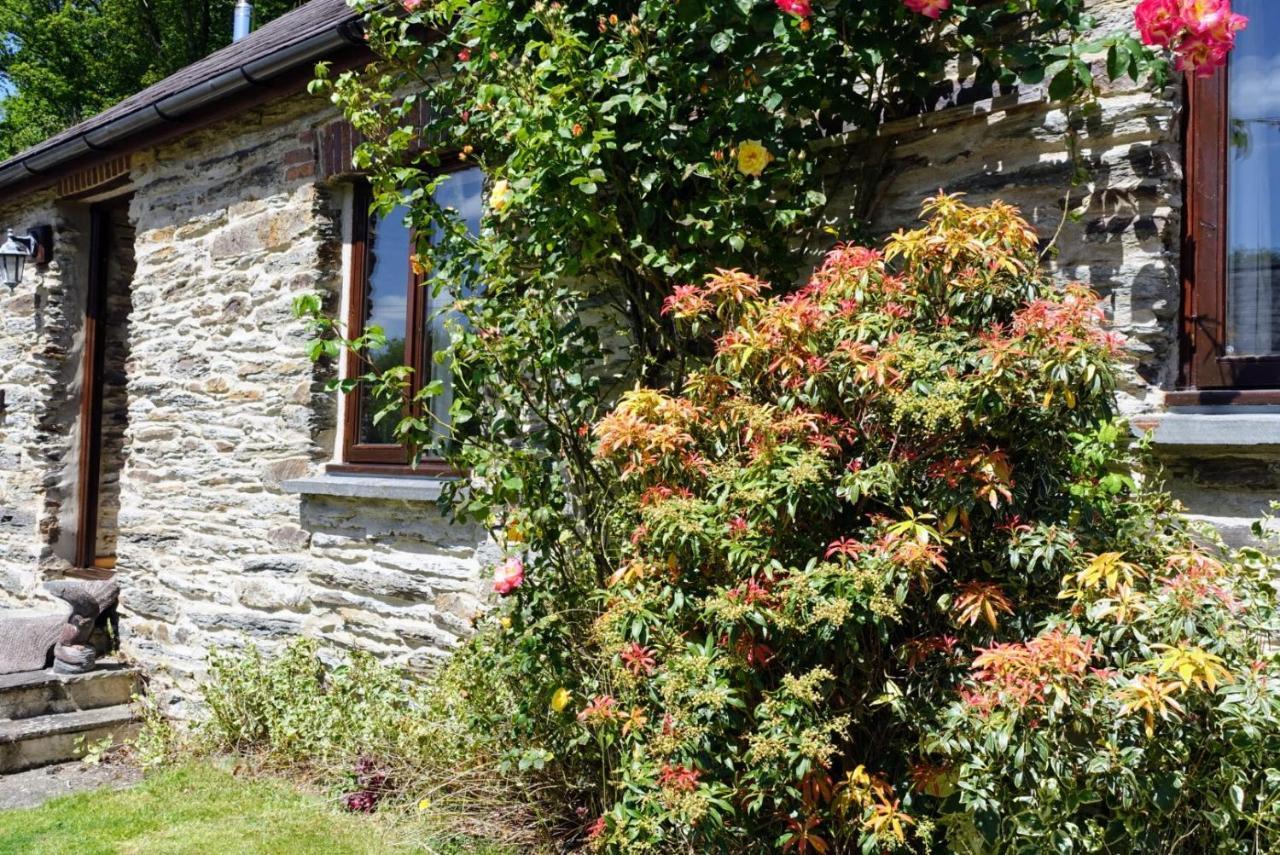 Troedyrhiw Holiday Cottages Cardigan Kültér fotó